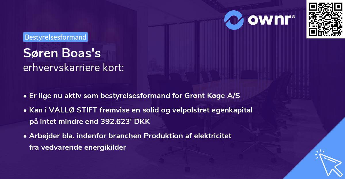 Søren Boas's erhvervskarriere kort