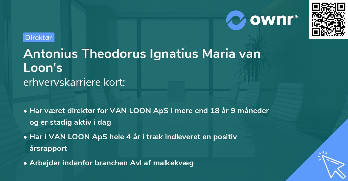 Antonius Theodorus Ignatius Maria van Loon's erhvervskarriere kort