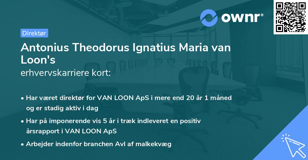 Antonius Theodorus Ignatius Maria van Loon's erhvervskarriere kort