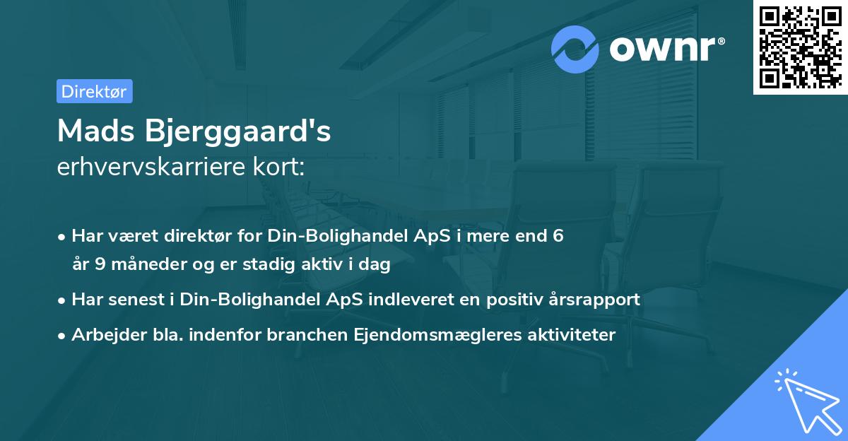 Mads Bjerggaard's erhvervskarriere kort