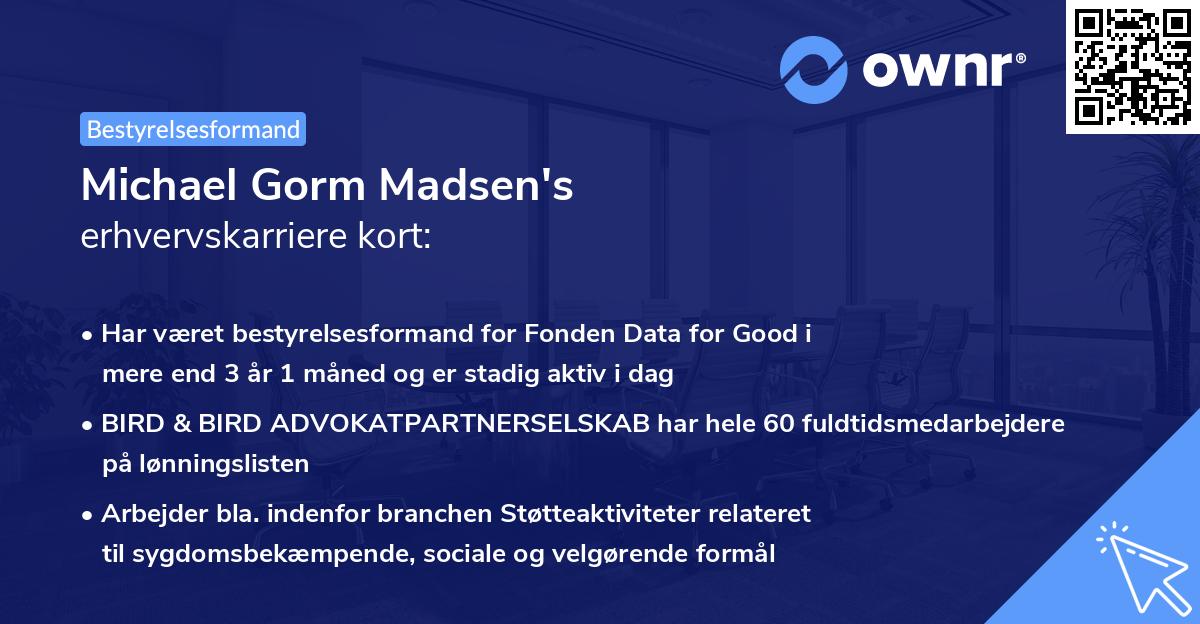 Michael Gorm Madsen's erhvervskarriere kort