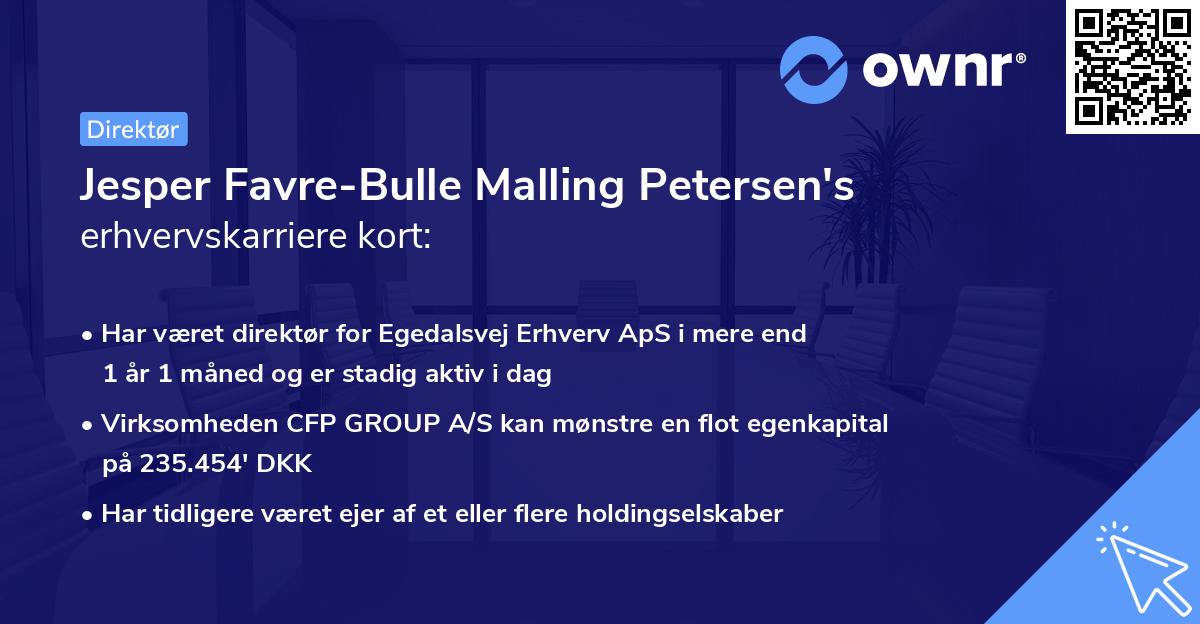 Jesper Favre-Bulle Malling Petersen's erhvervskarriere kort