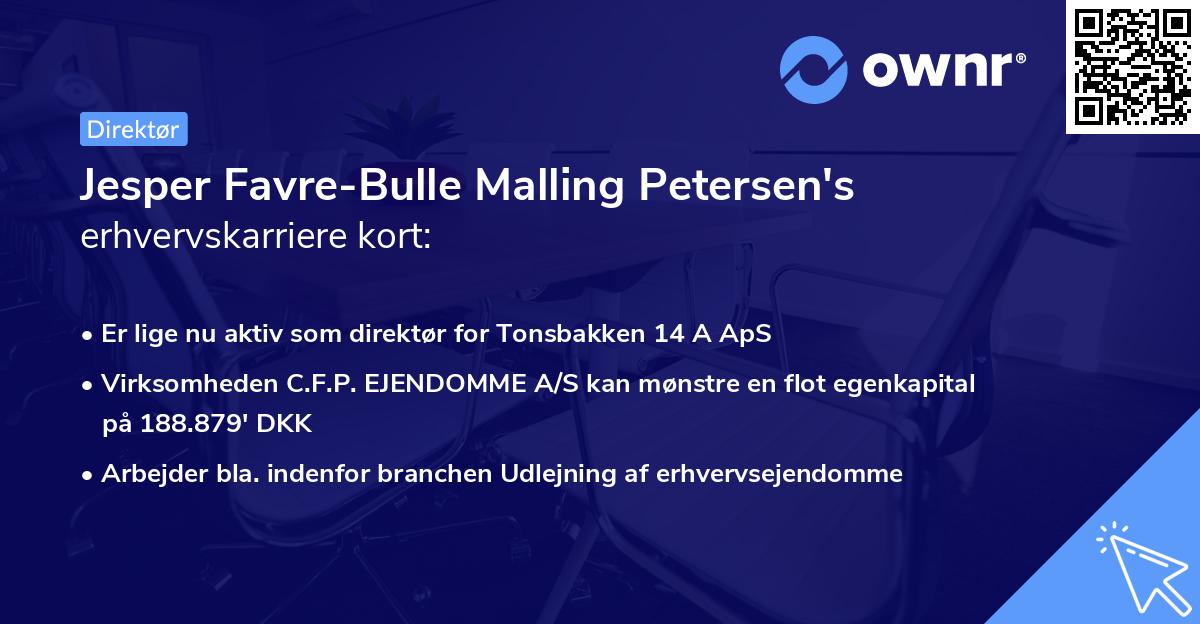 Jesper Favre-Bulle Malling Petersen's erhvervskarriere kort