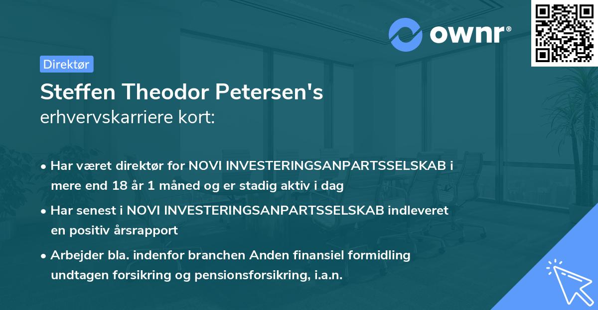 Steffen Theodor Petersen's erhvervskarriere kort