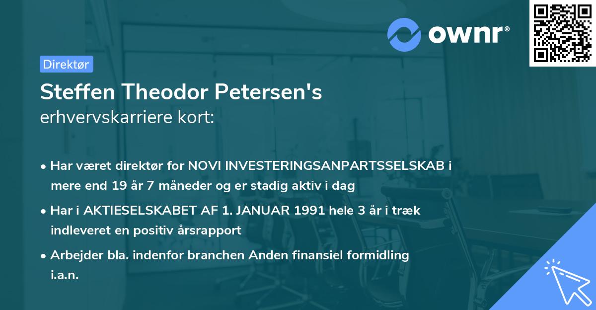 Steffen Theodor Petersen's erhvervskarriere kort
