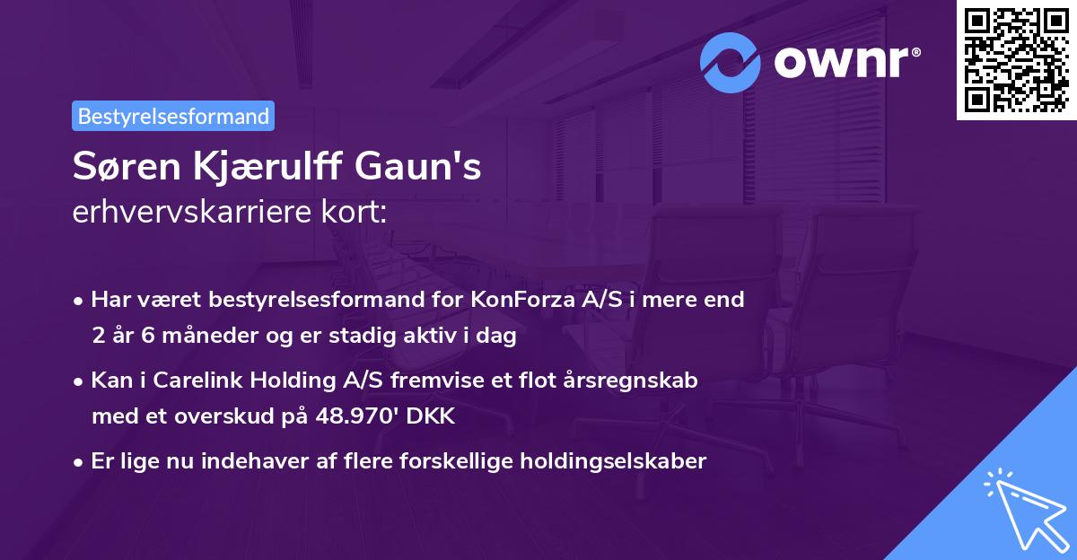 Søren Kjærulff Gaun's erhvervskarriere kort