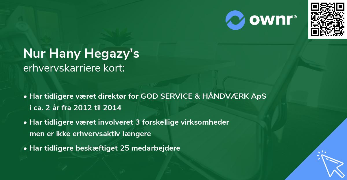Nur Hany Hegazy's erhvervskarriere kort