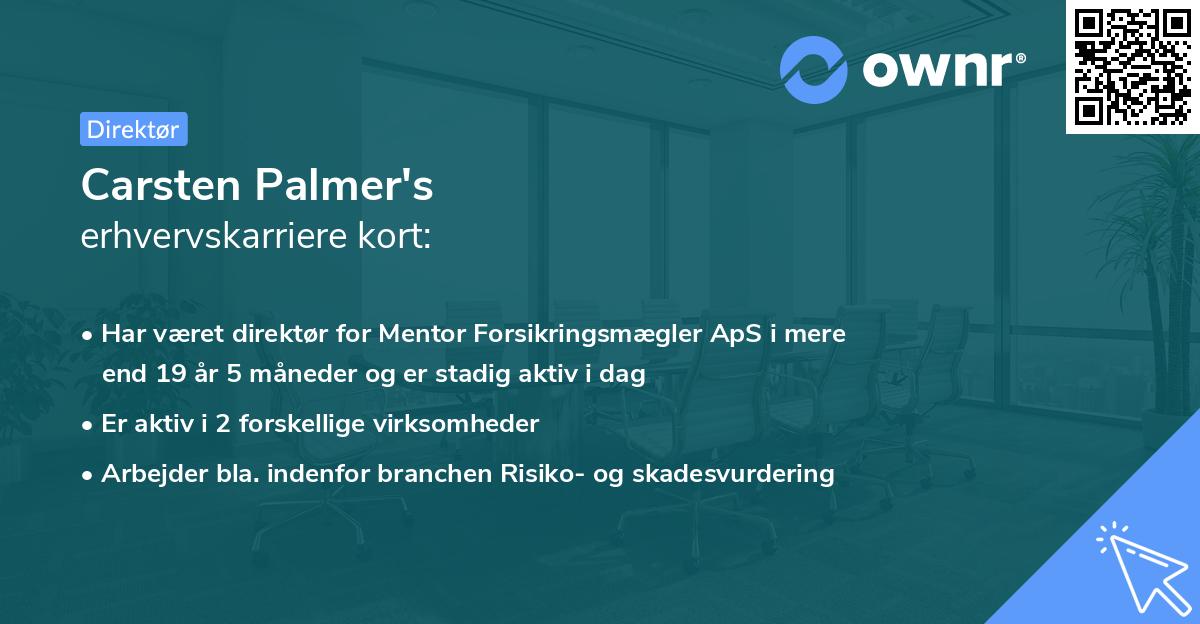 Carsten Palmer's erhvervskarriere kort