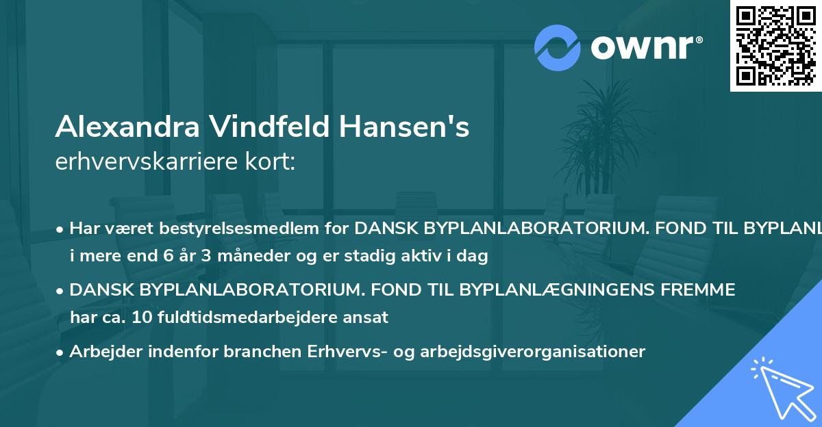 Alexandra Vindfeld Hansen's erhvervskarriere kort