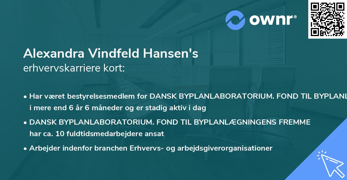 Alexandra Vindfeld Hansen's erhvervskarriere kort