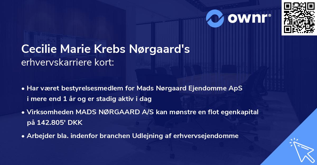Cecilie Marie Krebs Nørgaard's erhvervskarriere kort