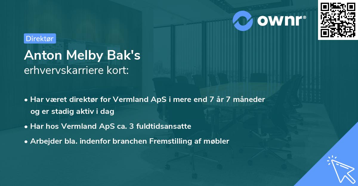 Anton Melby Bak's erhvervskarriere kort