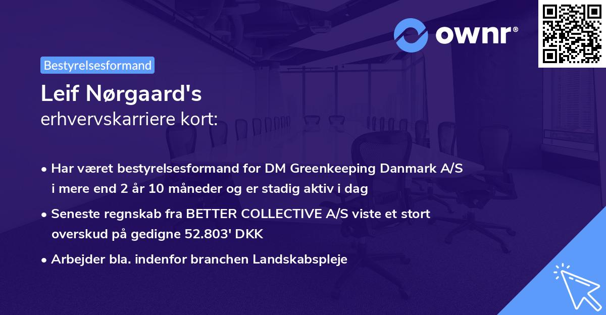 Leif Nørgaard's erhvervskarriere kort