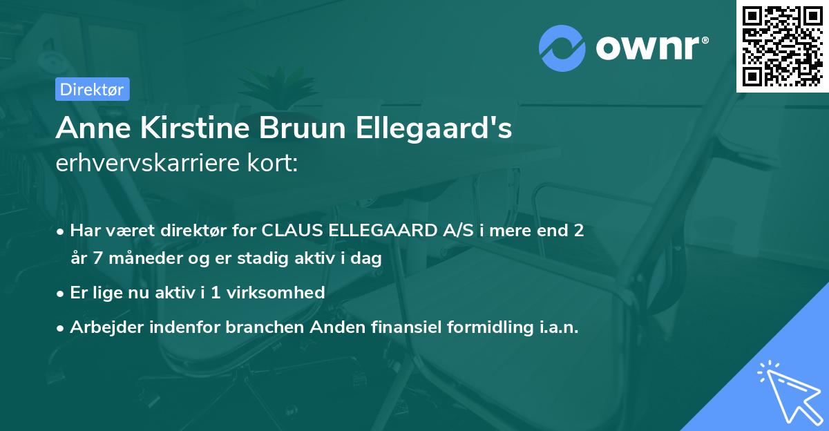 Anne Kirstine Bruun Ellegaard's erhvervskarriere kort