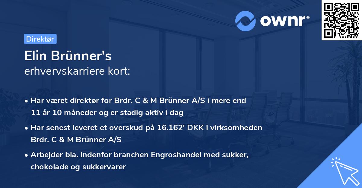 Elin Brünner's erhvervskarriere kort