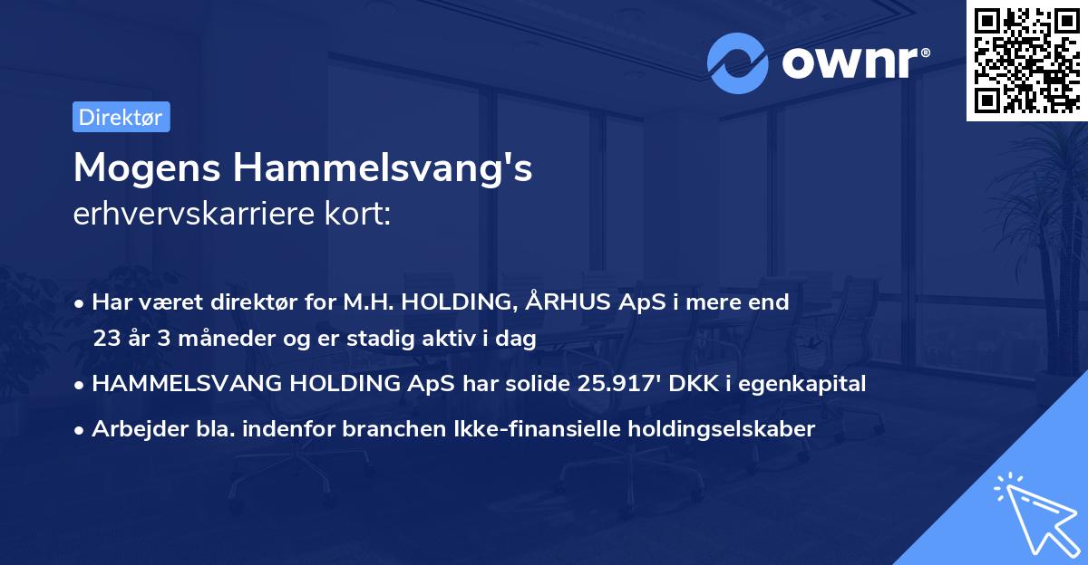 Mogens Hammelsvang's erhvervskarriere kort