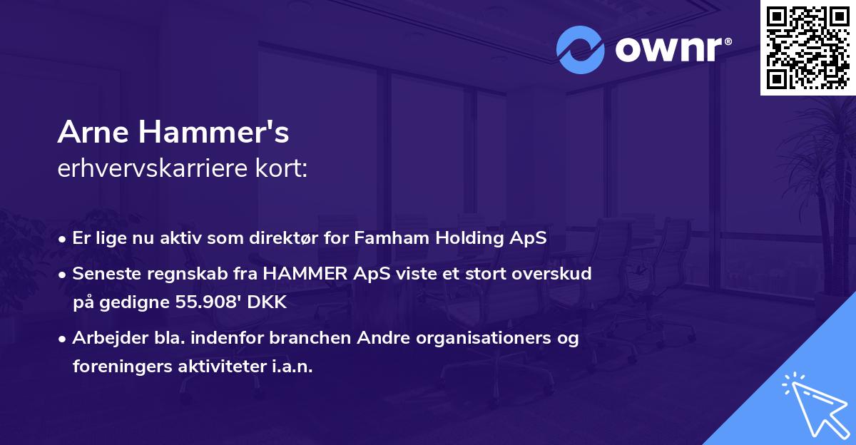 Arne Hammer's erhvervskarriere kort