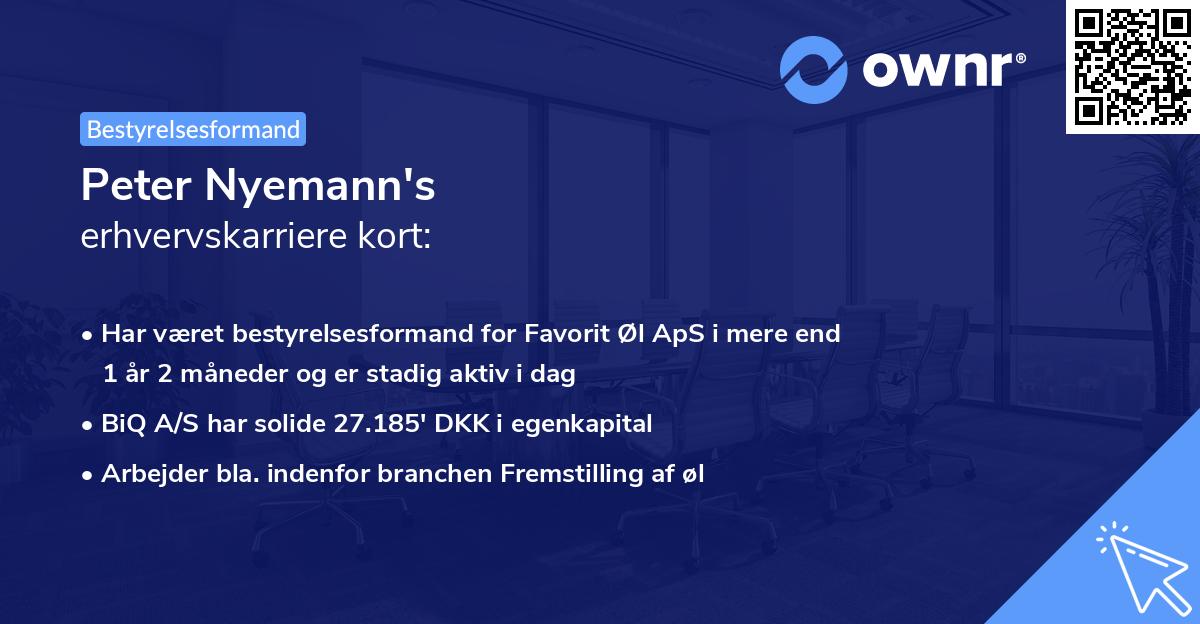Peter Nyemann's erhvervskarriere kort