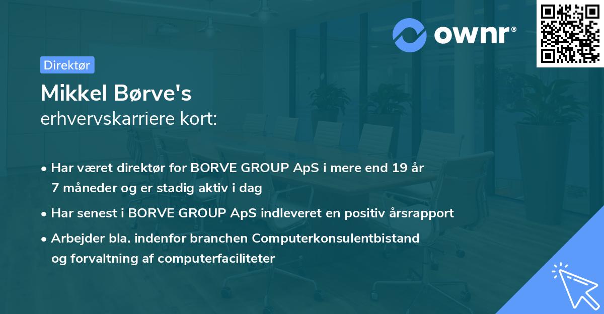 Mikkel Børve's erhvervskarriere kort