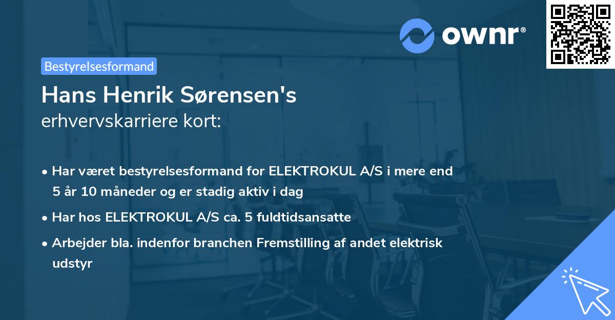 Hans Henrik Sørensen's erhvervskarriere kort
