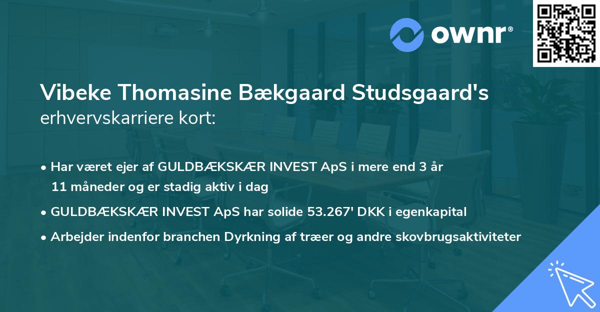 Vibeke Thomasine Bækgaard Studsgaard's erhvervskarriere kort