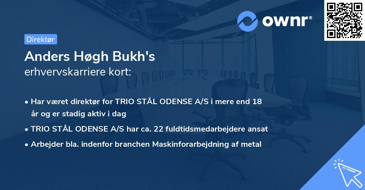 Anders Høgh Bukh's erhvervskarriere kort