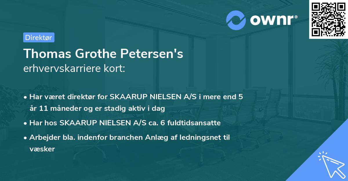 Thomas Grothe Petersen's erhvervskarriere kort