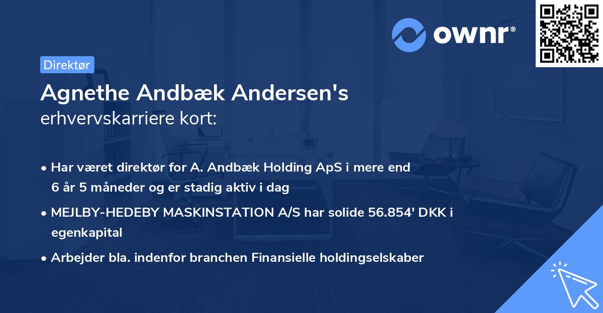 Agnethe Andbæk Andersen's erhvervskarriere kort