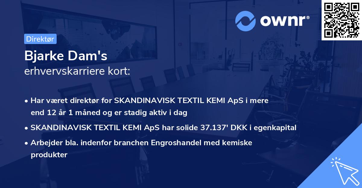 Bjarke Dam's erhvervskarriere kort