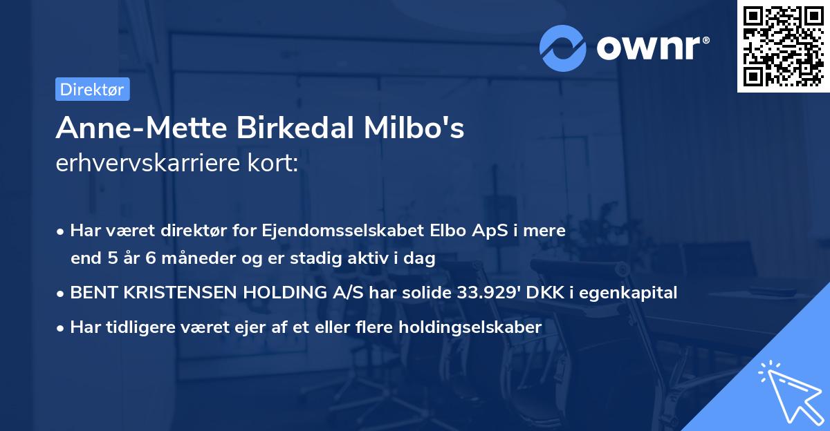 Anne-Mette Birkedal Milbo's erhvervskarriere kort