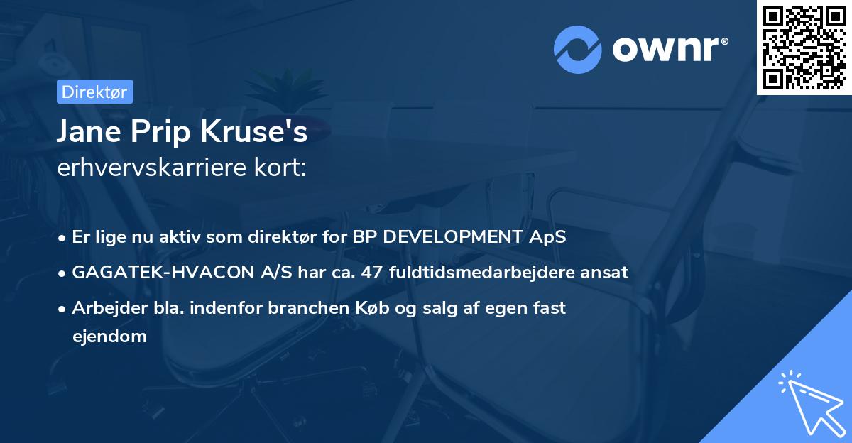 Jane Prip Kruse's erhvervskarriere kort