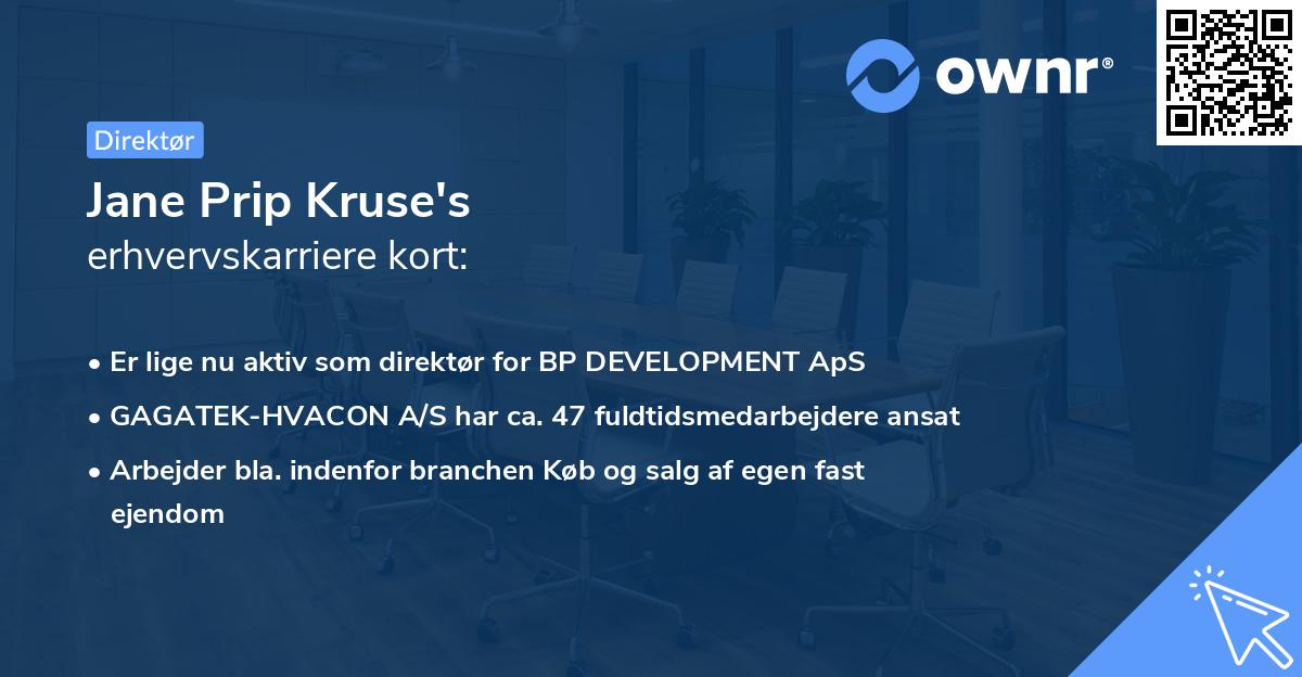 Jane Prip Kruse's erhvervskarriere kort
