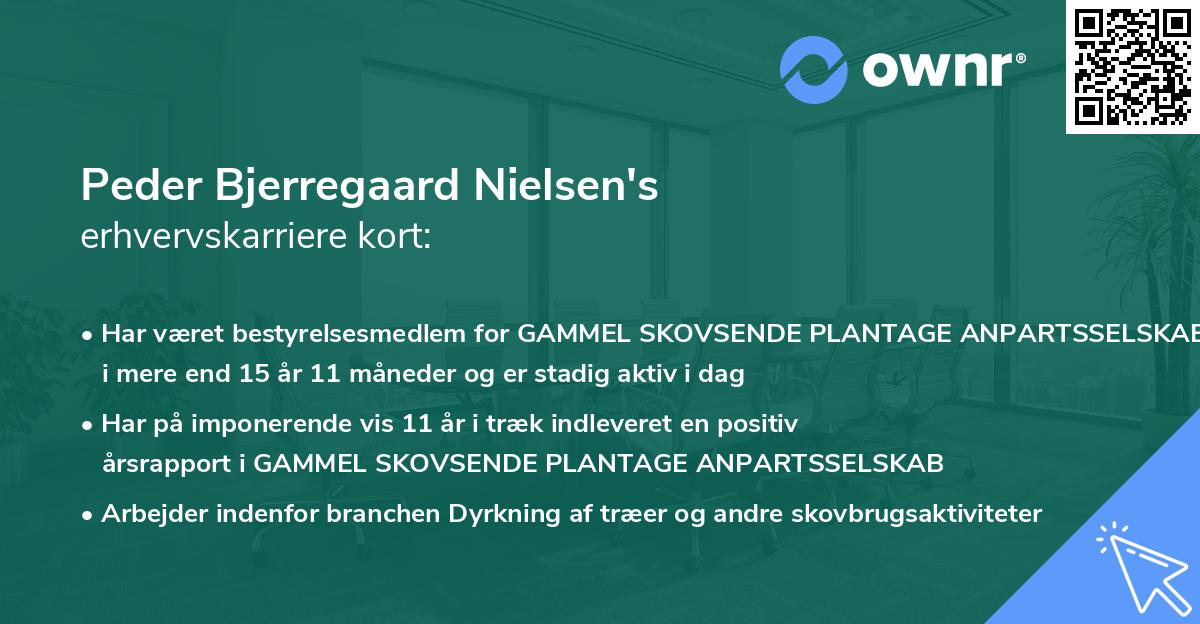 Peder Bjerregaard Nielsen's erhvervskarriere kort