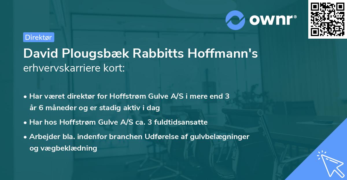 David Plougsbæk Rabbitts Hoffmann's erhvervskarriere kort