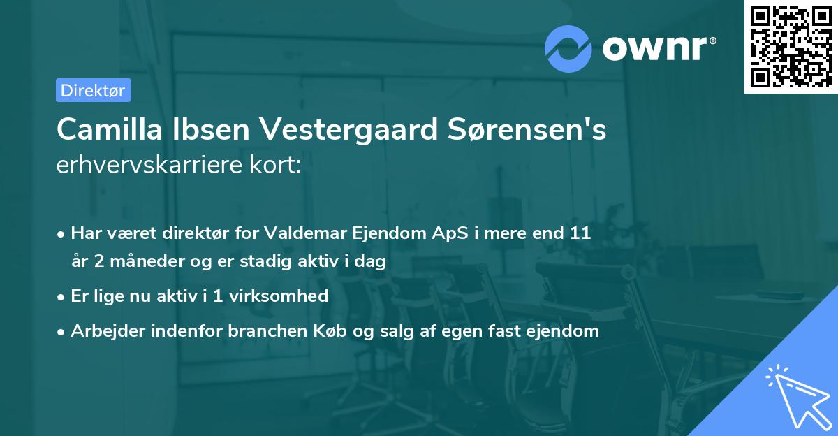 Camilla Ibsen Vestergaard Sørensen's erhvervskarriere kort