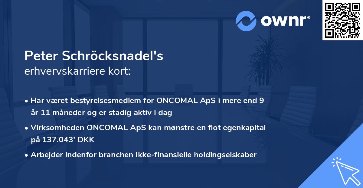 Peter Schröcksnadel's erhvervskarriere kort