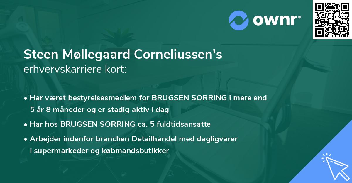 Steen Møllegaard Corneliussen's erhvervskarriere kort
