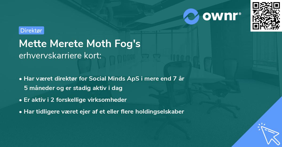 Mette Merete Moth Fog's erhvervskarriere kort