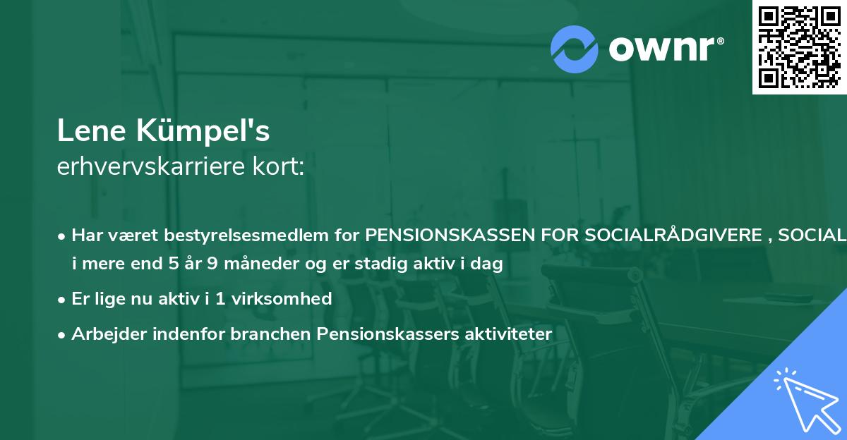 Lene Kümpel's erhvervskarriere kort