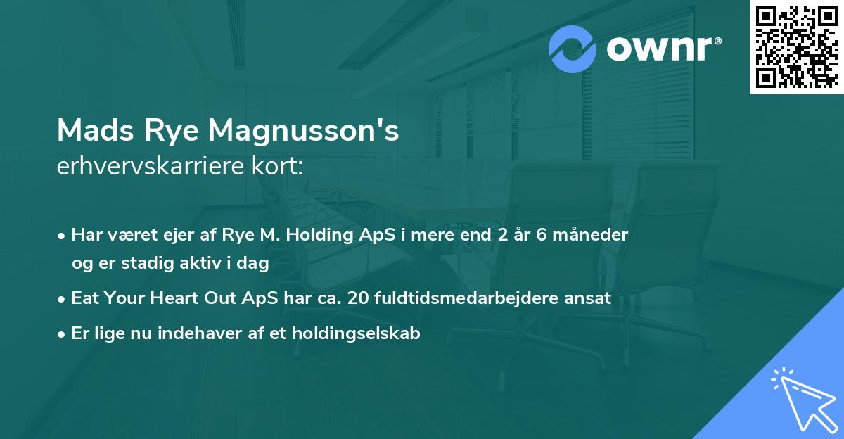 Mads Rye Magnusson's erhvervskarriere kort