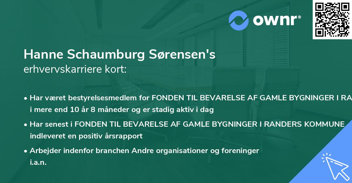 Hanne Schaumburg Sørensen's erhvervskarriere kort