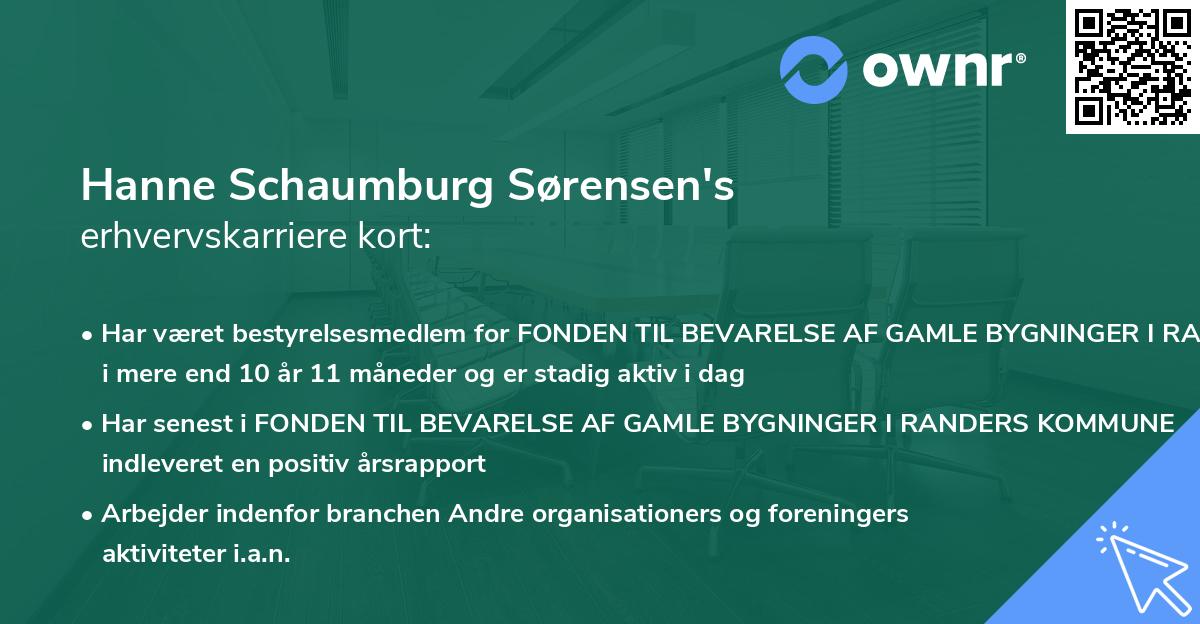 Hanne Schaumburg Sørensen's erhvervskarriere kort