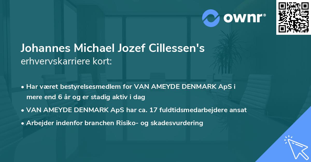 Johannes Michael Jozef Cillessen's erhvervskarriere kort