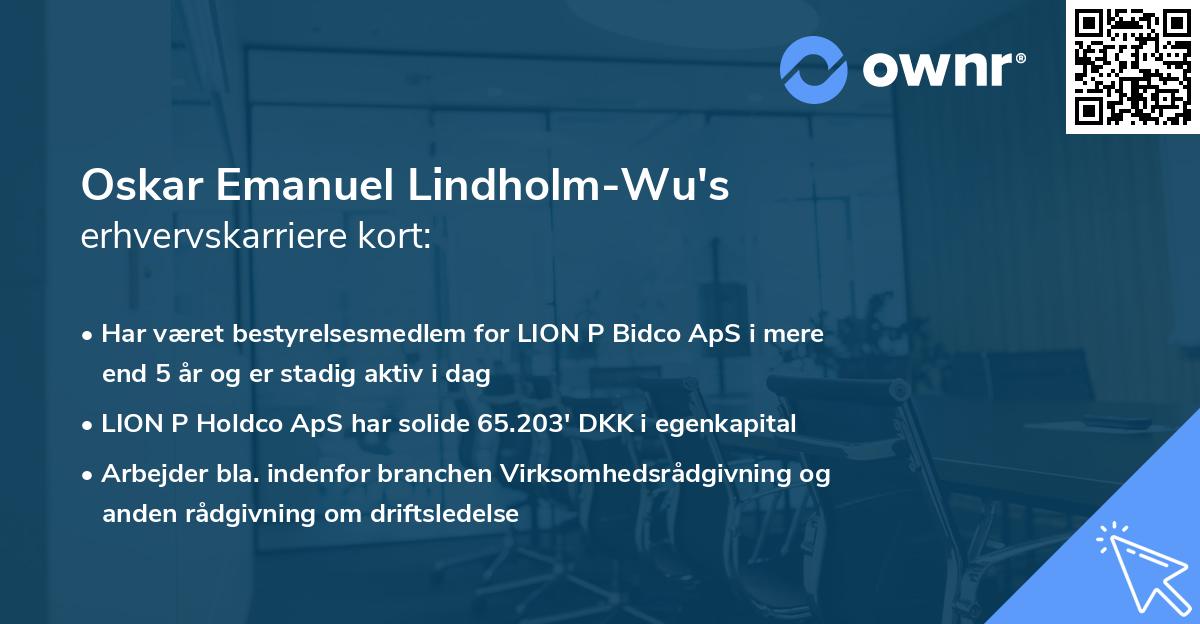 Oskar Emanuel Lindholm-Wu's erhvervskarriere kort