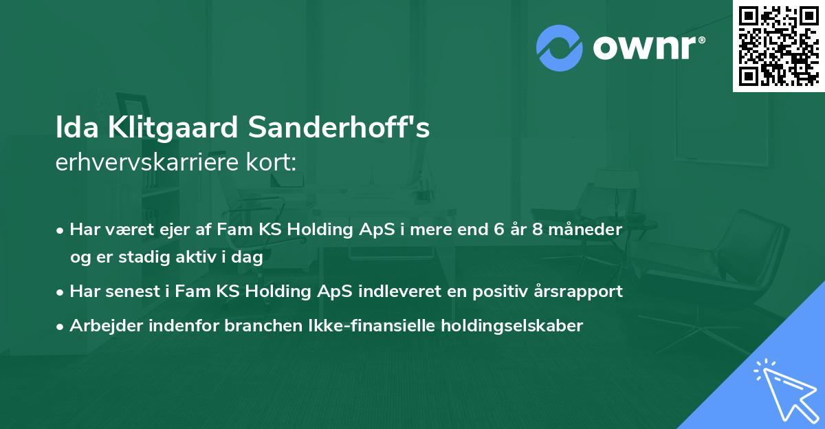 Ida Klitgaard Sanderhoff's erhvervskarriere kort