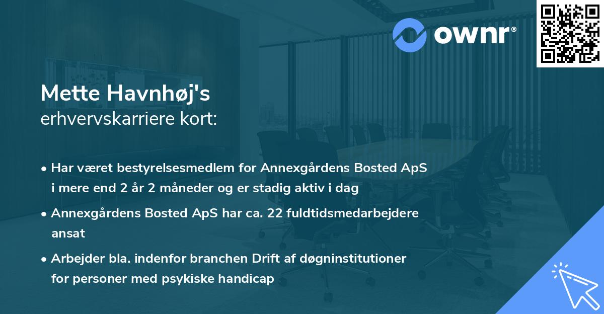 Mette Havnhøj's erhvervskarriere kort