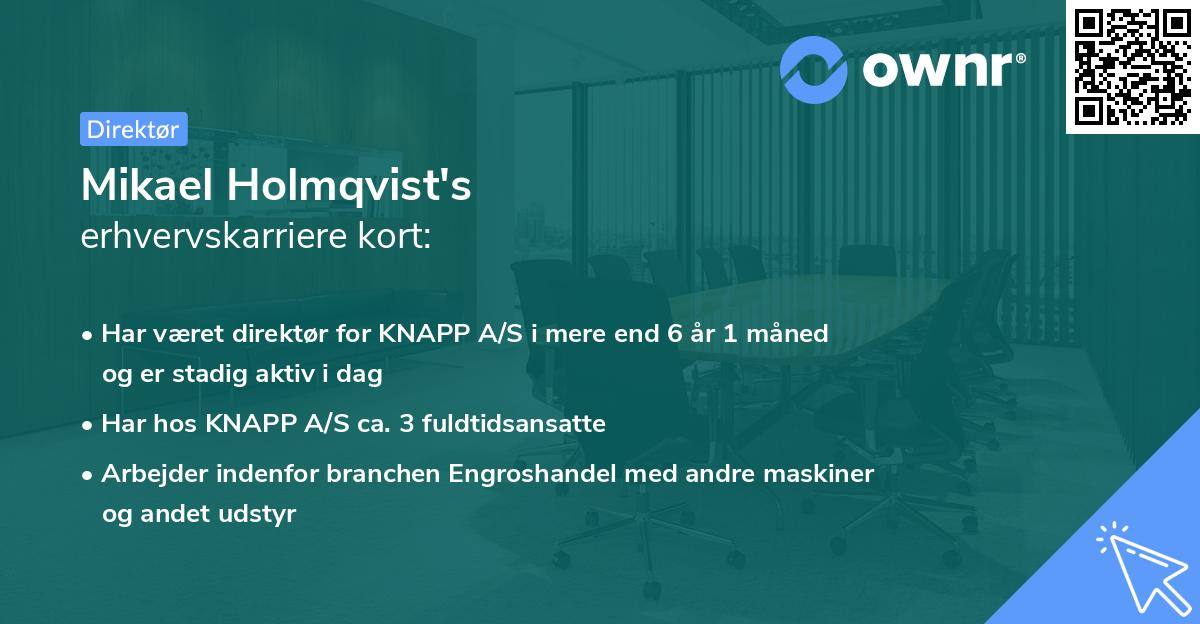 Mikael Holmqvist's erhvervskarriere kort