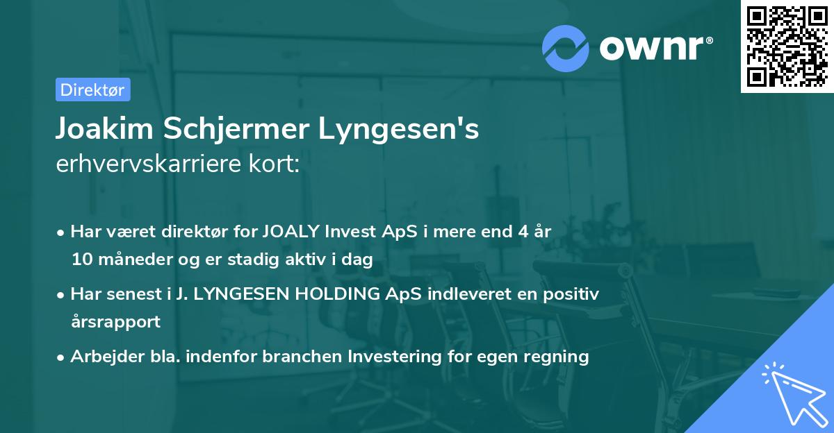 Joakim Schjermer Lyngesen's erhvervskarriere kort