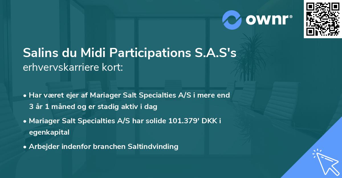 Salins du Midi Participations S.A.S's erhvervskarriere kort