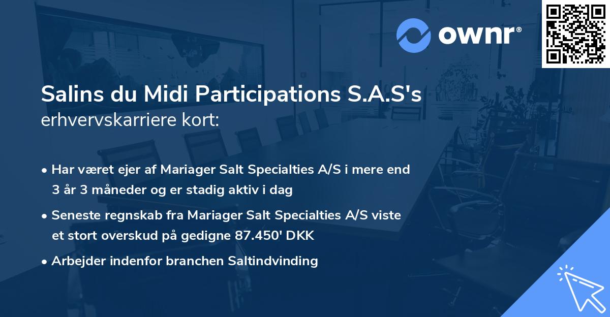 Salins du Midi Participations S.A.S's erhvervskarriere kort